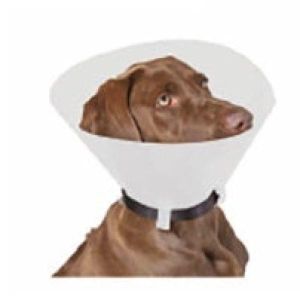 Collare Elisabetta Proficollar Classic Opaco Misura 12,5 S