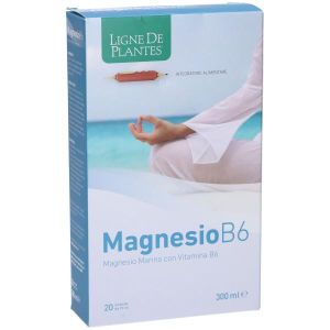 Magnesio B6 20 Ampolle Bevibili da 15ml