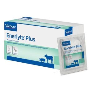 Enerlyte Plus Scatola Mangime Complementare Reidratante Effervescente per Equini 24 Buste da 100g