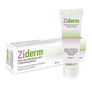 Ziderm Pasta All'ossido di Zinco 30ml