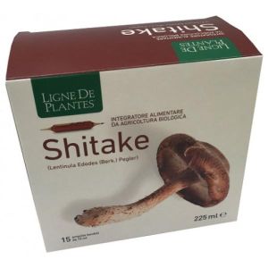 Ligne De Plantes Shitake Bio 15 Ampolle da 15ml