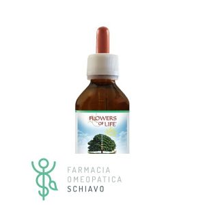 Argento Colloidale 940 100ml Flowers Of Life