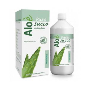 Aloe' Aloe Puro Succo Bio 1l