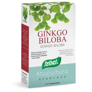 Ginkgo Biloba 40 Capsule