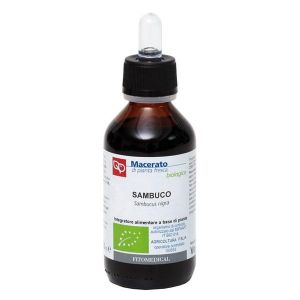 Sambuco Tintura Madre 100ml Bio