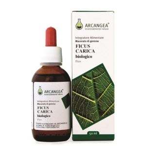 Ficus Carica Bio 33 Gemmoderivato 50ml