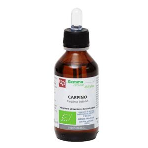 Carpino Macerato Glicerinato Bio 100ml