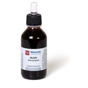 Olivo Tintura Madre 100ml Bio