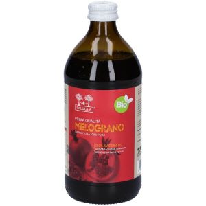 Salugea Succo di Melograno Bio 500ml