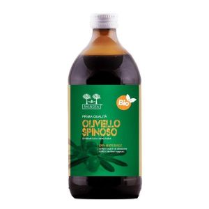Salugea Succo di Olivello Spinoso Bio 500ml