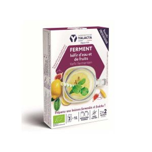 Fermenti per Kefir di Frutta Yalacta 2 Bustine