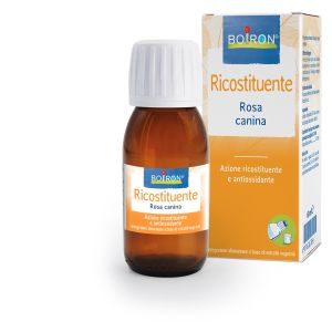 BOIRON ROSA CANINA ES I 60ML INT